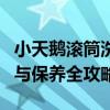 小天鹅滚筒洗衣机维修指南：故障排除、维护与保养全攻略