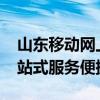 山东移动网上营业厅-轻松查询话费详单，一站式服务便捷无忧