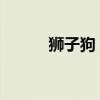 狮子狗：特点、训练与养护指南