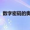 数字密码的奥秘：安全性、破解与应用探索