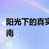 阳光下的真实攻略：从心灵到自然的全方位指南