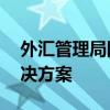 外汇管理局网上平台——一站式外汇管理解决方案