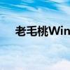 老毛桃WinPE U盘版：制作与使用指南