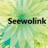 Seewolink：连接未来的智能生活新纽带