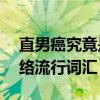 直男癌究竟是何意思？——深度解析这一网络流行词汇