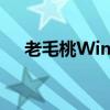 老毛桃Win10 U盘启动盘制作工具教程