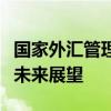 国家外汇管理局数字揭秘：外汇管理的现状与未来展望