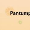 Pantump2500打印机驱动下载指南