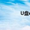 U盘exe病毒文件恢复指南