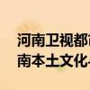 河南卫视都市频道在线直播——深度探索河南本土文化与生活