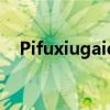 Pifuxiugaiqi：引领时尚潮流的革新之力