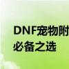 DNF宠物附魔宝珠全解析：提升宠物实力的必备之选